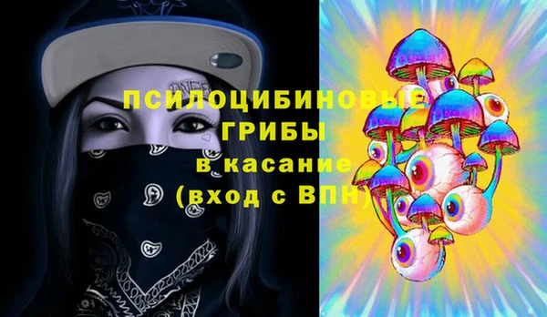 дурь Корсаков