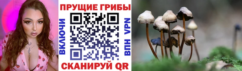 Псилоцибиновые грибы мухоморы  Темников 